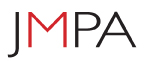 JMPA【日本メイクアップ プロフェッショナル協会】オフィシャルWebサイト